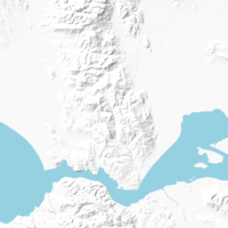 <A href="http://opentopomap.org/about">OpenTopoMap</A> is a topographic rendering that aims for good readability through high contrast, clear symbols and crisp hillshading using SRTM data. Unfortunatly it only has the OSM data for Europe.